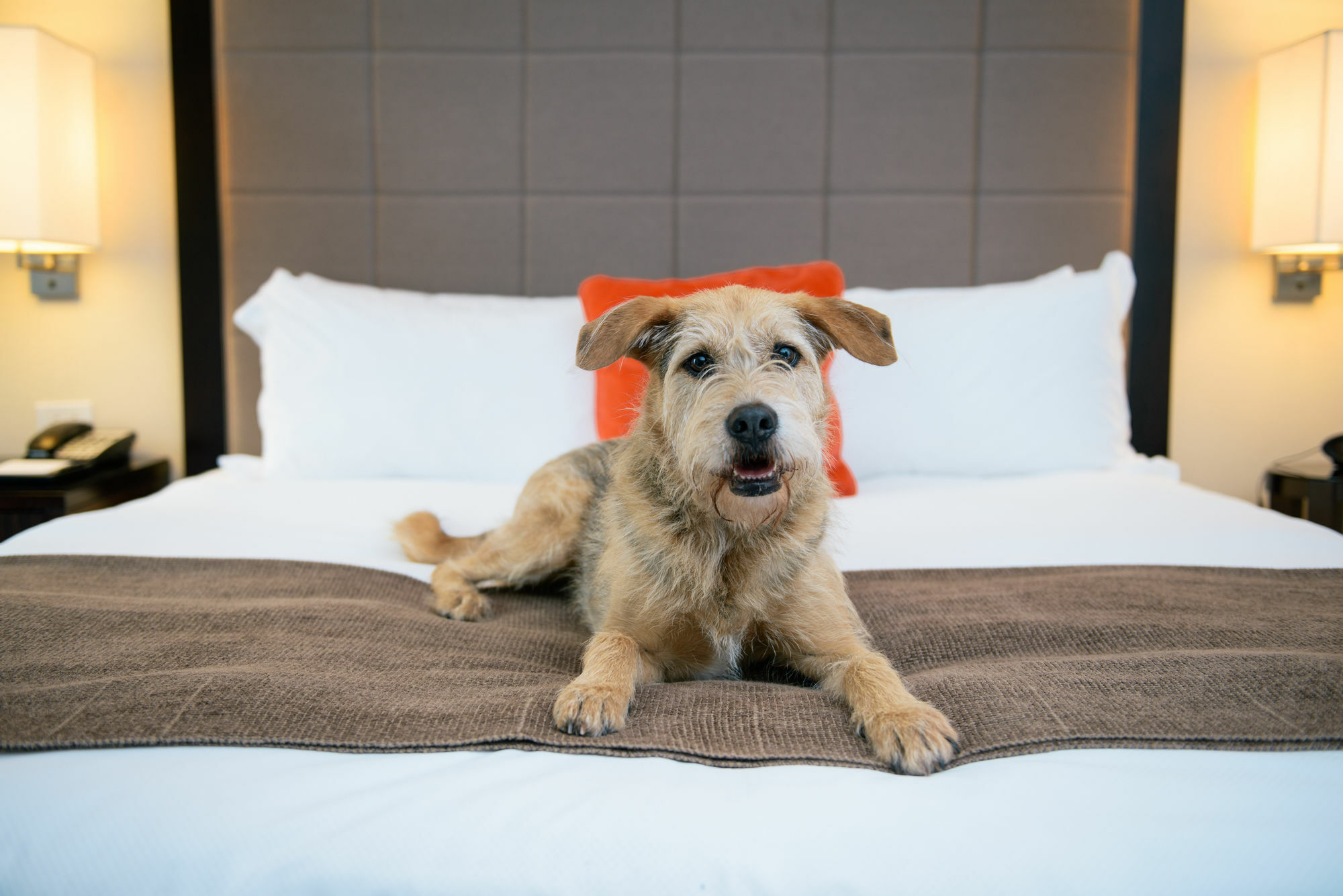 Candlewood Suites Charleston-Northwoods By Ihg North Charleston Dış mekan fotoğraf